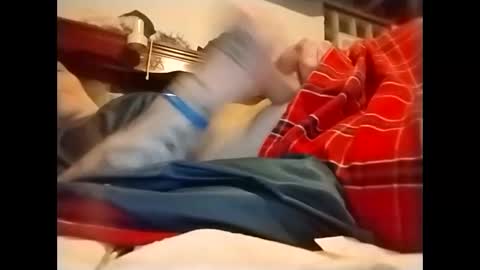 spundaddyandprincess online show from December 2, 2024, 3:15 am