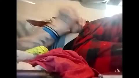 spundaddyandprincess online show from December 8, 2024, 2:30 pm