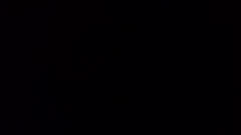 Squally Willy  MaryAnne online show from January 30, 2025, 2:47 pm