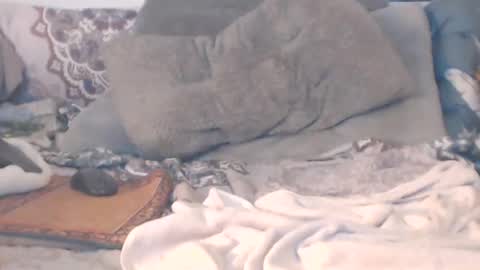 Squirt south beach withdaddy online show from January 16, 2025, 12:55 am