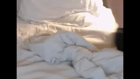 st8llion online show from February 27, 2025, 1:38 am