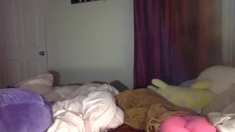 Dianaseshh online show from November 29, 2025, 4:15 am