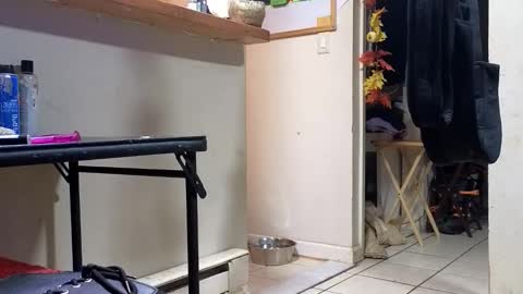 Snapshot of stacytasteme chatting on November 20, 2025, 3:18 am Submissive Slut LOVES adoration online show from November 20, 2025, 3:18 am