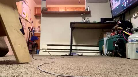 Snapshot of stacytasteme chatting on February 21, 2026, 4:41 pm Submissive Slut LOVES adoration online show from February 21, 2026, 4:41 pm