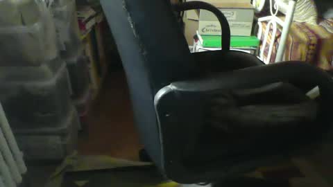 CIPPALIPPA online show from January 21, 2025, 8:52 am