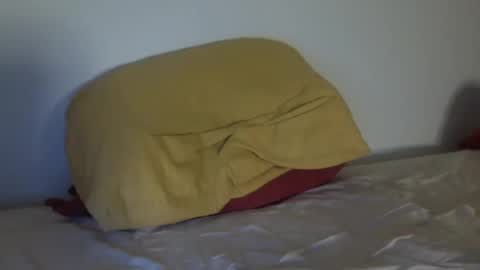 stan_hung online show from December 8, 2024, 6:50 pm