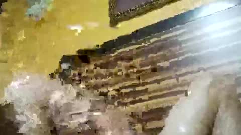 stchelly627 online show from March 8, 2026, 6:28 am