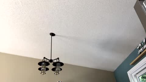 Snapshot of steakman007 chatting on February 23, 2025, 6:01 pm Steakman online show from February 23, 2025, 6:01 pm