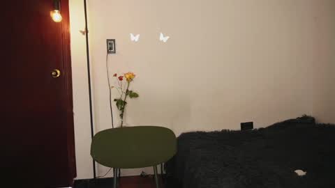 Snapshot of stefigirl chatting on March 11, 2025, 6:30 pm Stef online show from March 11, 2025, 6:30 pm