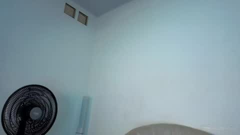 Steicy online show from April 12, 2026, 3:39 pm