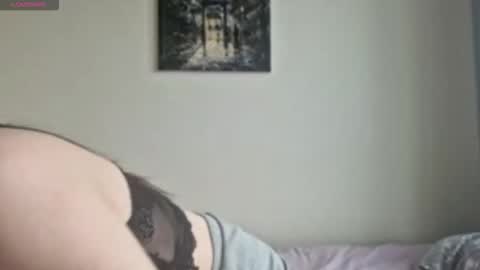 Snapshot of stellafalt chatting on November 26, 2025, 9:32 am Stella online show from November 26, 2025, 9:32 am