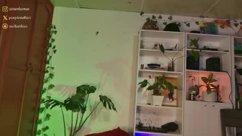 stellart_ online show from December 3, 2025, 1:57 am