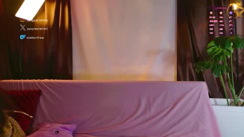 Snapshot of stellart_ chatting on May 8, 2026, 9:20 pm stellart_ online show from May 8, 2026, 9:20 pm