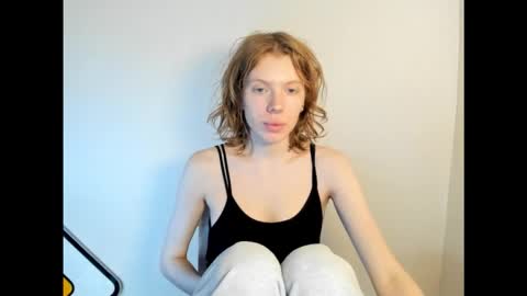 S T E L L A online show from November 20, 2025, 8:03 am