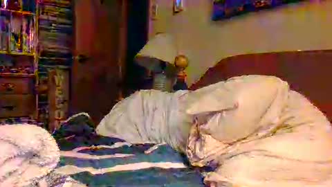 Ian23602 online show from December 19, 2025, 12:01 pm