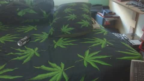 Snapshot of steveaussie chatting on May 14, 2026, 6:31 am Australian420 online show from May 14, 2026, 6:31 am