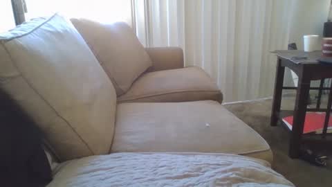 Snapshot of steven903625 chatting on December 17, 2024, 7:04 pm steven903625 online show from December 17, 2024, 7:04 pm