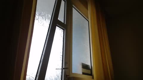 Snapshot of stevenbradley2017 chatting on January 26, 2025, 11:28 am Steven online show from January 26, 2025, 11:28 am