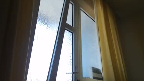 Snapshot of stevenbradley2017 chatting on March 5, 2025, 1:06 pm Steven online show from March 5, 2025, 1:06 pm