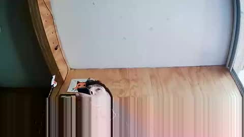 Steve online show from October 4, 2025, 7:23 pm