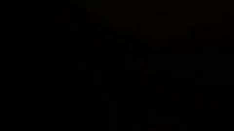 Snapshot of stevennsucculent chatting on September 27, 2025, 5:51 pm stevennsucculent online show from September 27, 2025, 5:51 pm