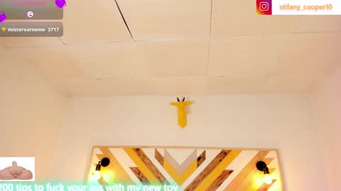 Snapshot of stifany_cooper chatting on December 3, 2024, 2:47 am stifany cooper online show from December 3, 2024, 2:47 am