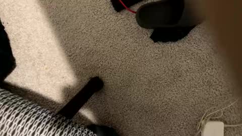 Snapshot of stilettodoll chatting on December 18, 2025, 10:32 am StilettoDoll online show from December 18, 2025, 10:32 am