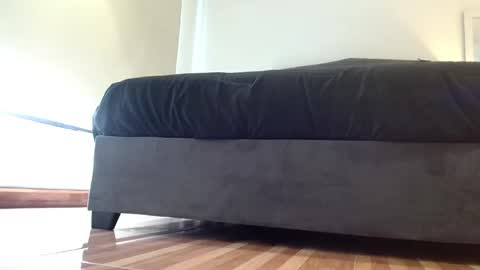 Snapshot of storm_hanks chatting on November 29, 2025, 12:24 am storm_hanks online show from November 29, 2025, 12:24 am