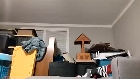 Snapshot of str33twyz3 chatting on October 23, 2025, 8:46 am Streetwyze online show from October 23, 2025, 8:46 am