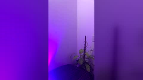 Snapshot of straight_boys_hornys chatting on December 20, 2025, 11:50 am straight_boys_hornys online show from December 20, 2025, 11:50 am