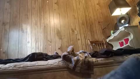 straighttoy online show from November 3, 2025, 3:24 pm