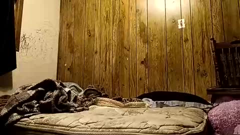 straighttoy online show from November 14, 2025, 10:36 am