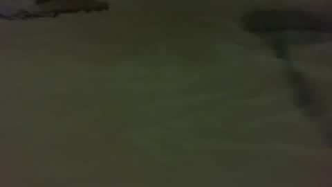 Snapshot of stratocatster chatting on January 11, 2025, 4:46 pm stratocatster online show from January 11, 2025, 4:46 pm