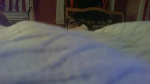 Snapshot of stratocatster chatting on January 24, 2025, 2:39 am stratocatster online show from January 24, 2025, 2:39 am