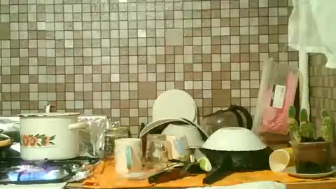 Strawberry Storm online show from October 21, 2025, 1:06 am