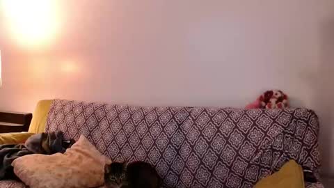 Snapshot of strawberrylotsacake chatting on November 24, 2025, 4:07 pm Strawberrylotsacake online show from November 24, 2025, 4:07 pm