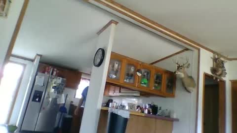 Snapshot of strokenmycock78 chatting on March 28, 2026, 8:08 pm strokenmycock78 online show from March 28, 2026, 8:08 pm
