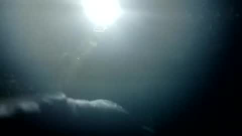 Bigdickdugan online show from January 26, 2025, 1:36 pm