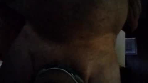 stuffamuffagus69 online show from November 16, 2025, 1:00 am