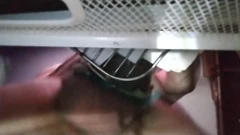 stuffamuffagus69 online show from November 18, 2025, 1:11 am