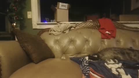 Snapshot of sub_michael41 chatting on December 21, 2024, 6:52 am sub_michael41 online show from December 21, 2024, 6:52 am