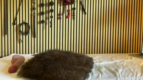Submissive Slut online show from July 17, 2026, 7:37 am