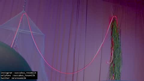 Succubus RoseMilk online show from January 27, 2025, 2:53 am