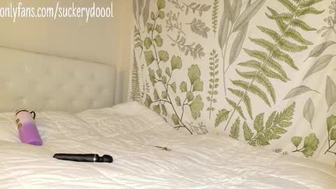 Snapshot of suckerydoool chatting on February 1, 2026, 3:05 am Maya online show from February 1, 2026, 3:05 am