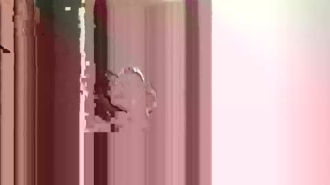 Snapshot of suckmeoffuk chatting on December 17, 2025, 2:56 pm JJ online show from December 17, 2025, 2:56 pm