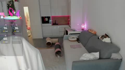 Kinga online show from October 18, 2025, 10:27 am