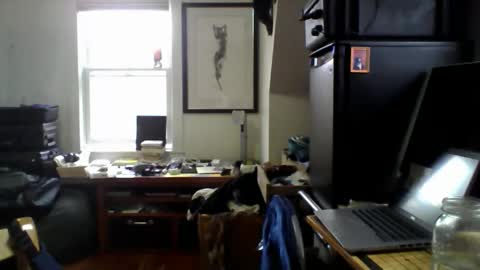 Snapshot of sugardotdom chatting on April 14, 2026, 2:01 pm Sugar online show from April 14, 2026, 2:01 pm