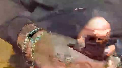 Snapshot of sukkaluvva chatting on September 28, 2025, 8:20 am SUKKALUVVA online show from September 28, 2025, 8:20 am