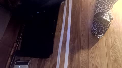 Summer Divine online show from February 22, 2025, 8:53 pm