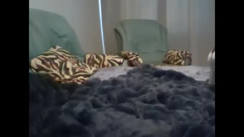 suni online show from March 7, 2025, 5:08 am